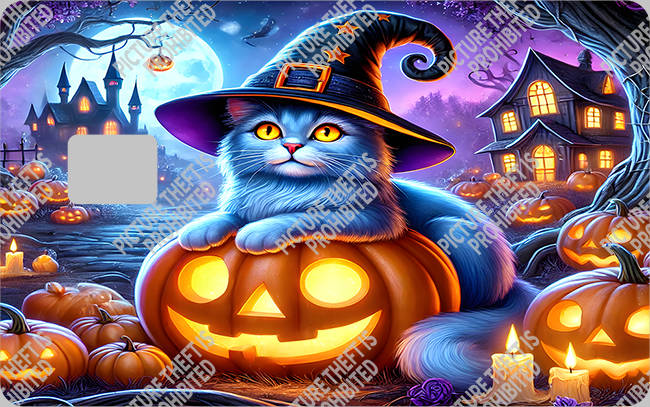 Bank  Card Sticker-BC-1720